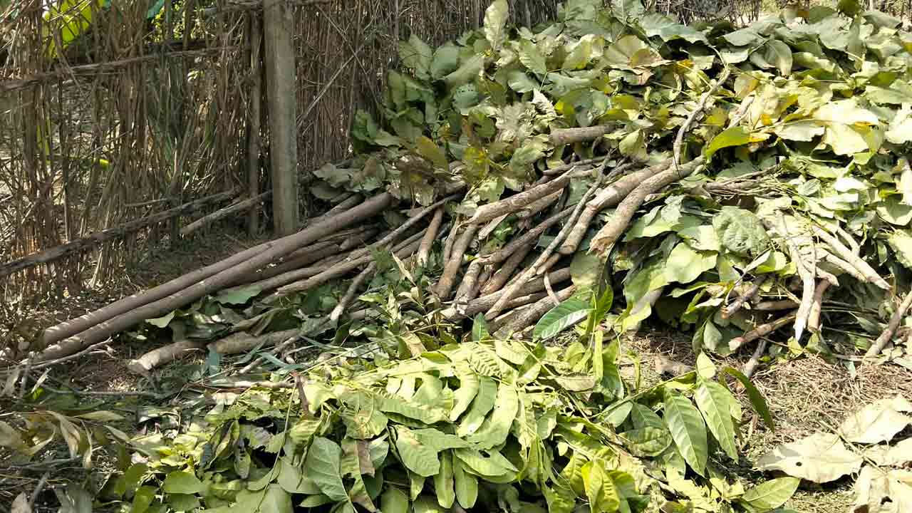 ছবি: দেশ টিভি