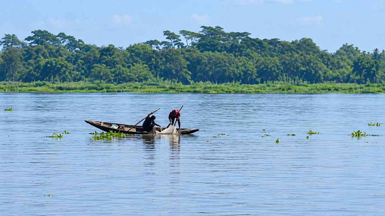 ছবি: দেশ টিভি