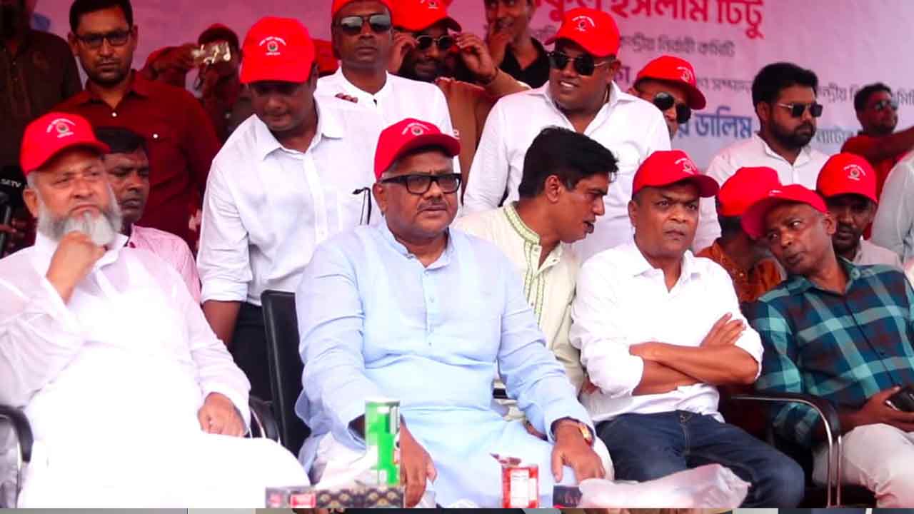আওয়ামী লীগ বাড়াবাড়ি করলে জনগণ উচিত শিক্ষা দেবে: দুলু