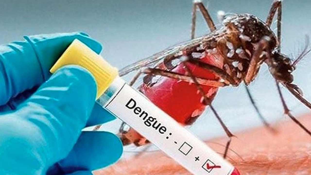 ডেঙ্গুতে আরও ৯ জনের মৃত্যু, হাসপাতালে ভর্তি ১,৯৮২ জন