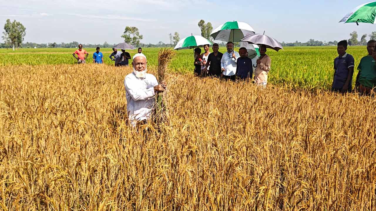 ছবি: দেশ টিভি