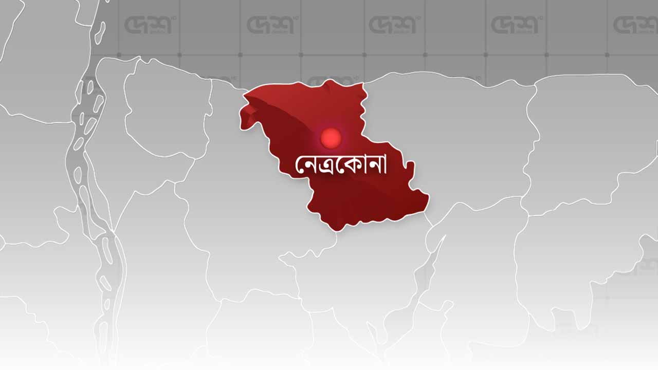 ফাইল ছবি